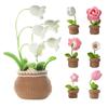 Niedliches Häkel-Starterset für Blumen Kreatives Handgemachtes Strickset für Blumen Nähmaterialpaket für Blumen DIY Strickzubehör