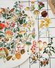 90Pcs/Pack Plants Mushroom Sticker DIY Craft Scrapbooking Album Journal Happy Planner Decorative Stickers