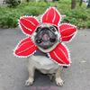 Funny Cat Hat Demogorgon Scary Flower Costume Birthday Pet Accessories Supplies Pet Dogs Headwear Adjustable Sticker