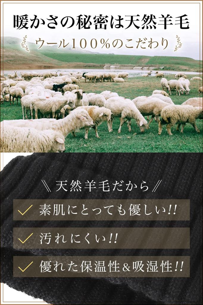 Knit Hat Wool Made in Japan Whole Garment Cold Protection Beanie [Branze] Men's 100% (Free Size, Black)