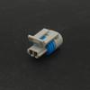 2-Wire Automotive Wiring Harness Connector Plug for Electronic Injection