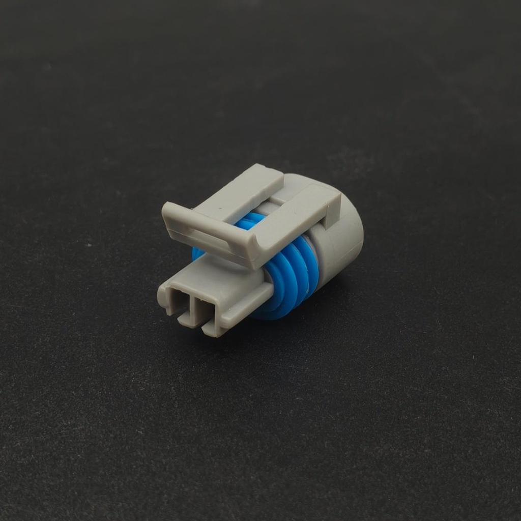 2-Wire Automotive Wiring Harness Connector Plug for Electronic Injection