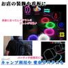 Nicheez EL Wire Car Battery Box Luminous Neon Tube (1m5
