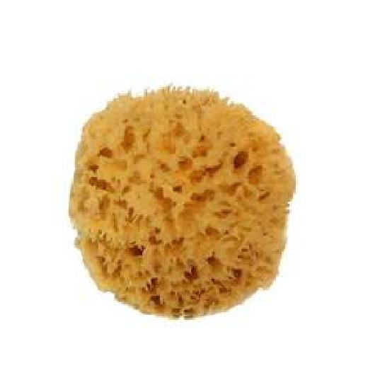 

Готов к отправке, американская горячая распродажа, морская губка, низкий минимальный заказ, щетки для ванны, губки, скрубберы для снятия макияжа, чистка ванны