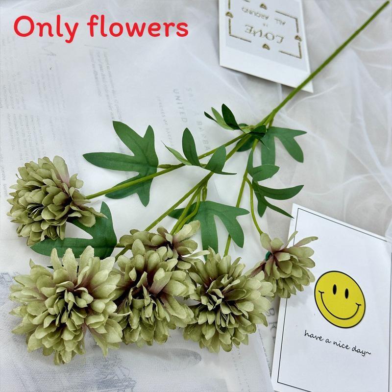 Realistic Fake Epaltes Australis Arrangement For Diy Home Decoration And Photography Props