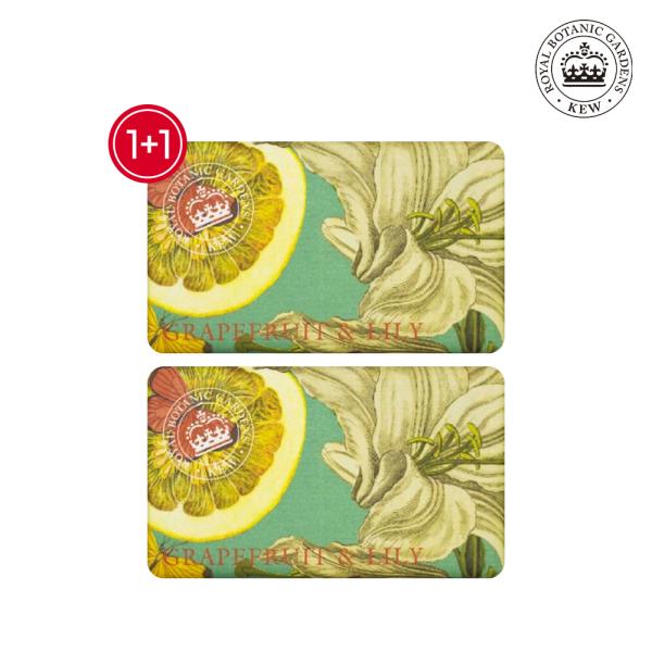 Grapefruit & Lily Diffuser Soap 240g (2-pack) Paraben-Free