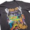 Scooby Doo Unisex Adult Where Are You Vintage Wash T-Shirt