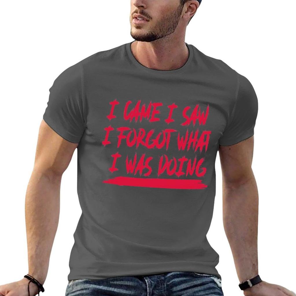 I Cam I Saw I Forgot What Was Doing Funny Artist Tshirt Casual Graphic Print Tee