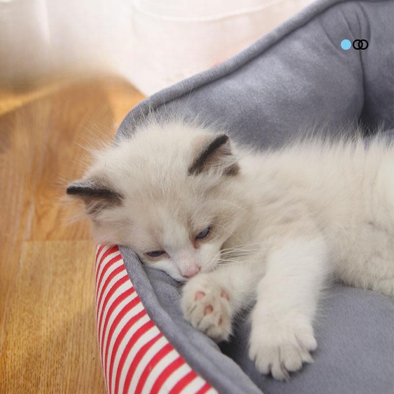 Striped Four Seasons Pet Supplies Small and Medium Dogs Dog Cat Nest All-inclusive Edge High Elastic PP Cotton Pet Nest Pad