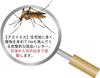 Doggyman Medicinal Mosquito Repellent Anzumi Incense Green 1 Piece (x 1)