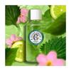 Roger &; Gallet Shiso Wohltuendes Parfümwasser 100ml