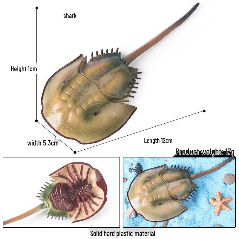 Marine Animal Simulation Model Figures: Shark, Dolphin, Hammerhead, Crab, Squid, Starfish for Kids' Education