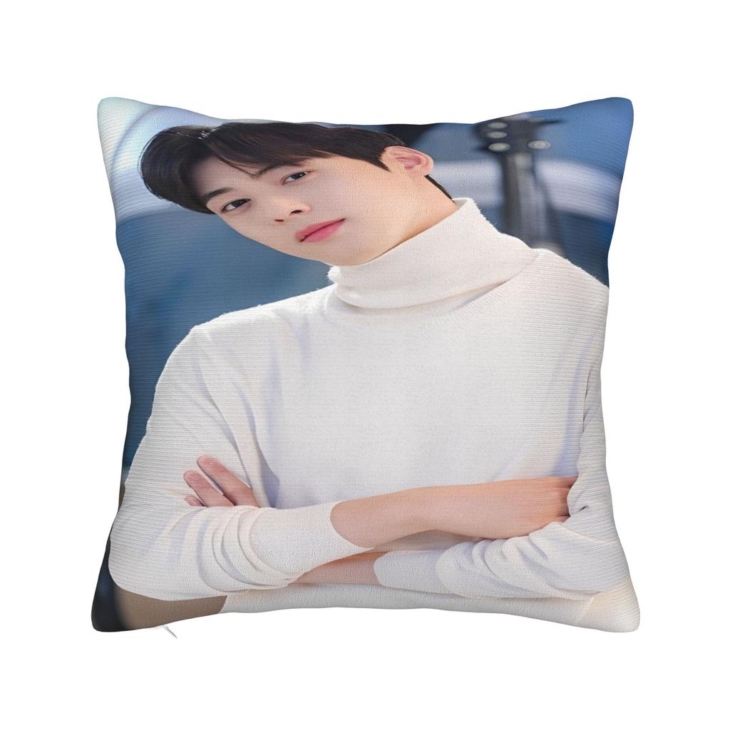 CHA EUN WOO Kpop ASTRO Idol Pillowcases Product Printing Cushion Cover  Throw Pillow Cover Bed Decorations Square Multiple Sizes
