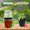 1set Soft Seedling Trays With Humidity Domes Dome Lids Drainage Holes Plastic Seed Starters For Seedlings Herbs Cacti Ferns