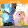 Soft And Cuddly Cartoon Style Colorful Glowing Puppy Plush Toy For Children