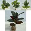 Faux Green Tree With 26 Leaves For House Decor And Photography Scene Creation