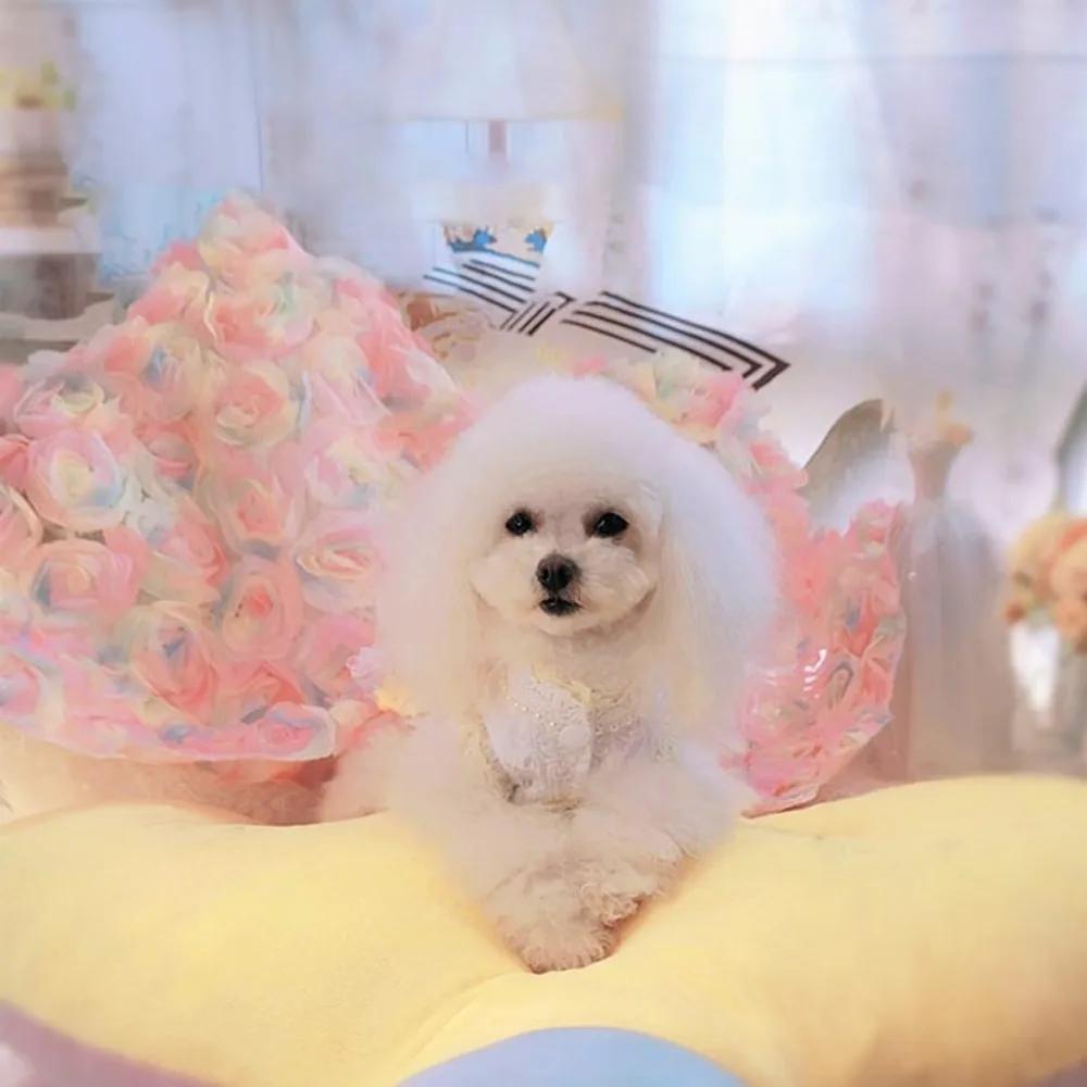 Robe de Mariage Handmade pour Animal de Compagnie, Robe Longue à Traîne de Luxe pour Animal de Compagnie, Costume de Princesse, Tenue d'Anniversaire pour Chiot, Fleurs 3D Design Personnalisé