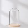 Preserved Flower Glass Dome Ornament - Creative Christmas Gift Transparent Vase