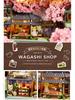 DIY Dollhouse Dream Mirror Theater – Handmade Assembly Model House, Creative Birthday Gift for Girls