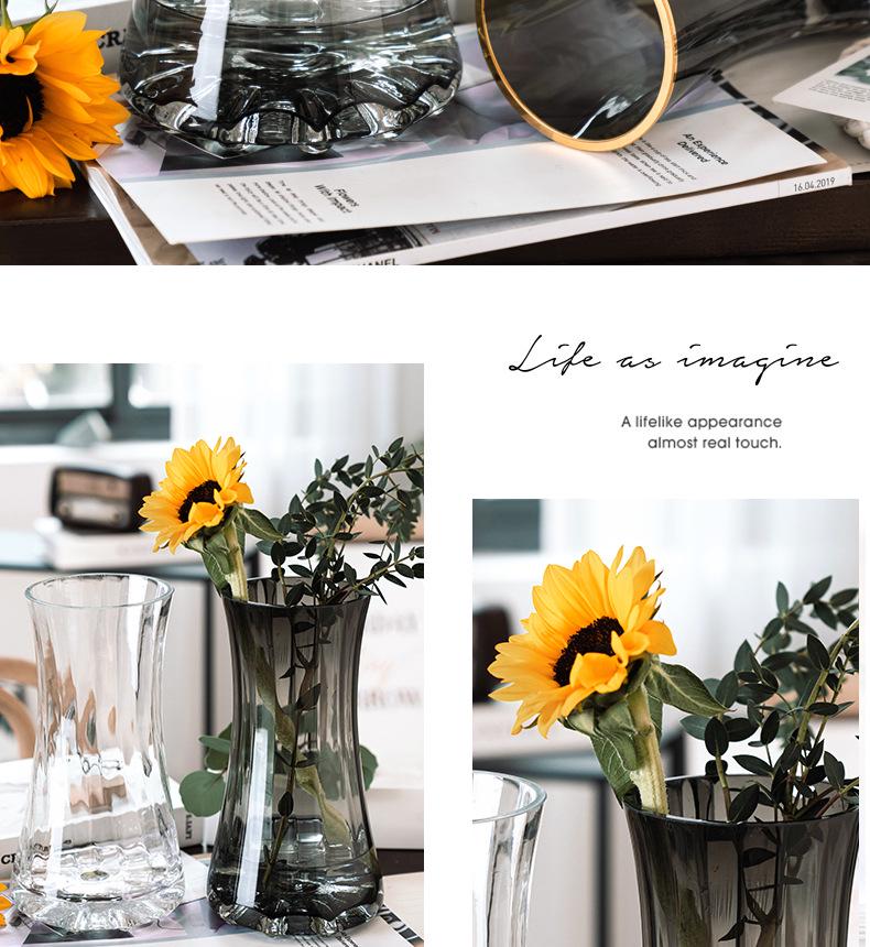 Gold-Painted Transparent Glass Vase for Fresh or Dried Flowers - Nordic Style Flower Arrangement Ornament