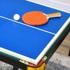 2-in-1 Billiard Table, Table Tennis Table, with Accessories, 140x63x80cm, Blue/Green