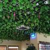 Simulation Grape Leaves Plastic Evergreen Vine Simulation Leaves Decoration Pipe Ceiling Winding Simulation Vine Leaves