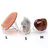 Multipurpose Display Stand Pography Props Bracket Mineral Fossil Coral Holder