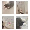 Cat Teaser Wand With Bell Feather Spring Mouse Toy Suction Cup Self Play Interactive Pet Toy For Kitten Anti Boredom Molar Chew