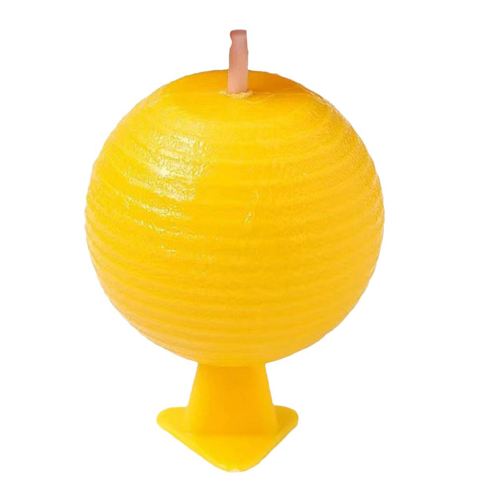 Fly Trap No Harsh Chemicals Efficiently Capture Flies Midges And Other Flying InsectsSafety And Environmental Protection