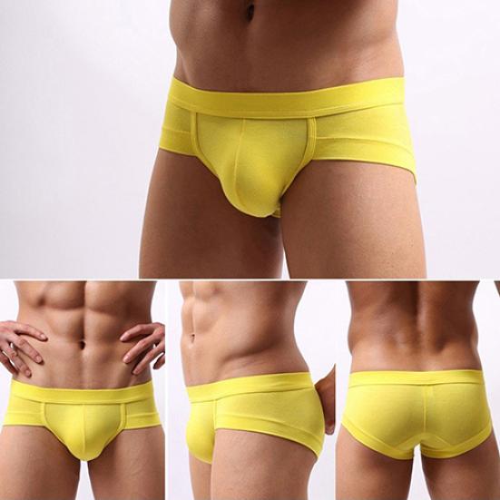 Men's Sexy Bulge Pouch Underwear Briefs Soft Elastic Modal Low Rise Underpants
