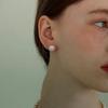 [Silver 925][Freshwater Pearl] Button Pearl Earring