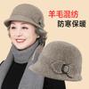 In the Elderly Hat Mom Winter Warm Bucket Hat Women's High-end Wool Hat Thickened Grandma Old Lady Basin Hat