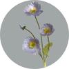Silk Poppy Fake Flowers 4 Heads Artificial Flowers Simulation Long Poppies Home Table Wedding Party Decorative DIY Bouquets 1PCs