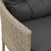 Garden Sofa Set with Cushions 2 pcs Poly Rattan