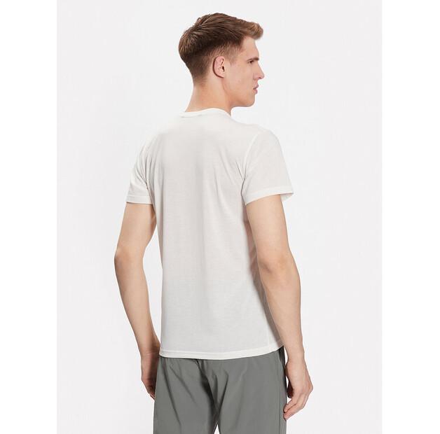 Salewa Solidlogo Dry T-shirt