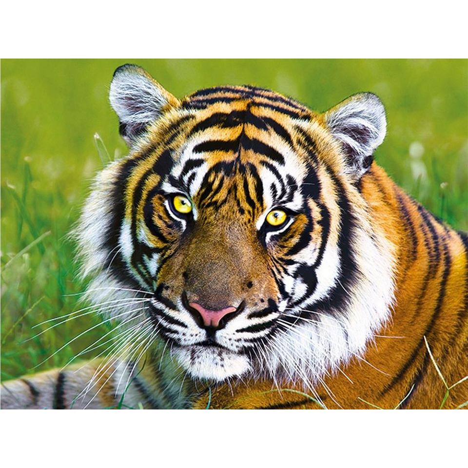 5D DIY diamantová malba Zvířecí obrázek Kulatý tygr Diamantové vyšívání Štrasová mozaika Domácí dekorace Dárek