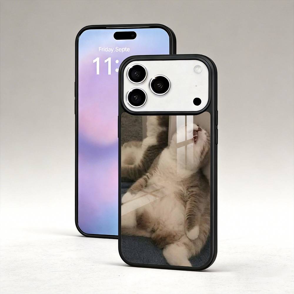 Funny Cat Memes Phone Case For iPhone17,16,15,14,13,12,Pro,Max,Magnetic For Magsafe Wireless Charging