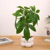 Artificial Money Plant Artificial Money Tree Potted Plant Realistic Simulation Money Tree for Indoor Decoration