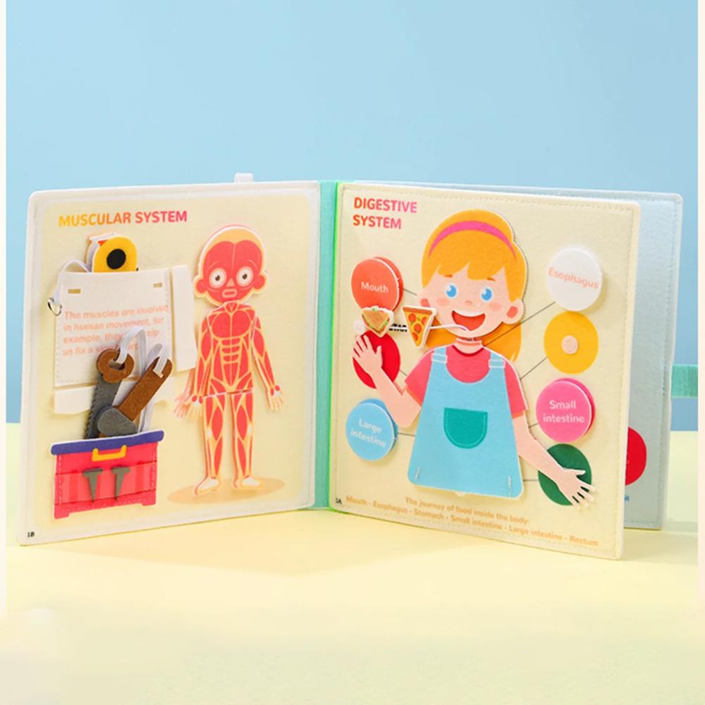 Montessori Busy Book Human Body Anatomy Book for Toddlers Preshool Kindergarten Learning Activities Autism Sensory Toys