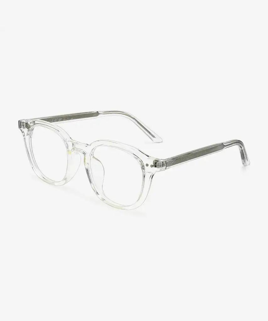Seutailwokeu Transparent Sw Horn 02 Cr Stylework Eyeglass Frames