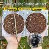 Tree Branch High-Altitude Grafting & Rooting Ball 