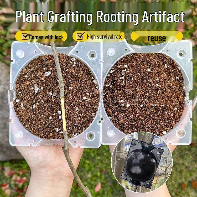 Tree Branch High-Altitude Grafting & Rooting Ball