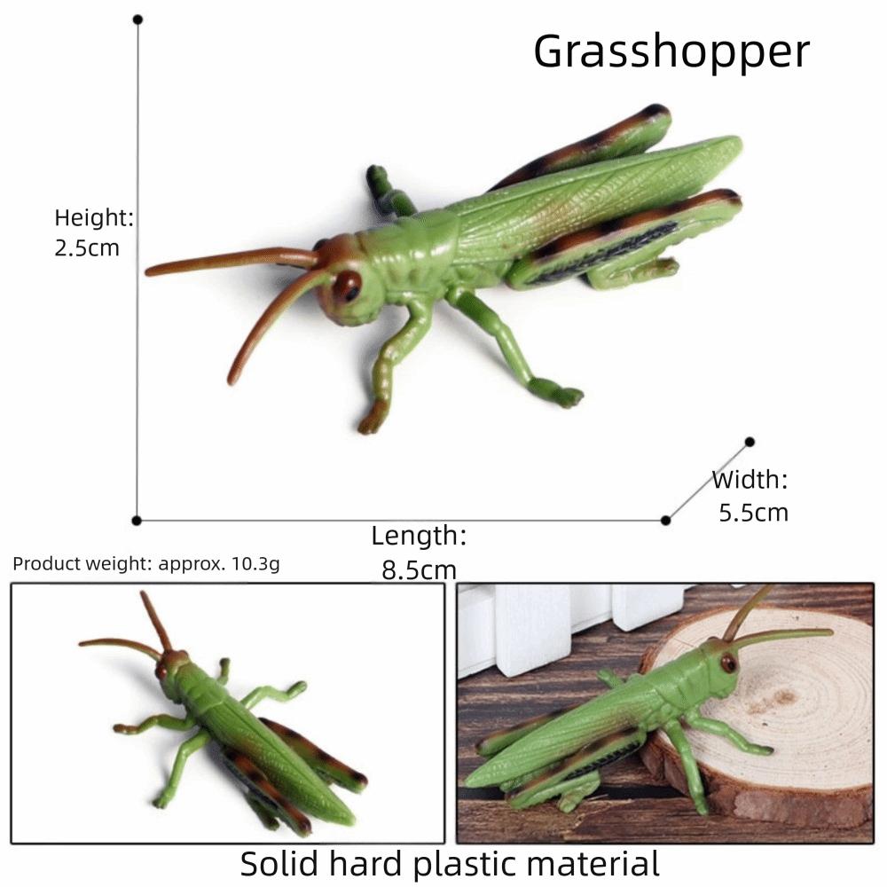 

Имитация Модель Насекомого Фигурки Паук Пчела Пластик Детская Образовательная Игрушка Цикада Coccinella Septempunctata Набор Моделей Животных