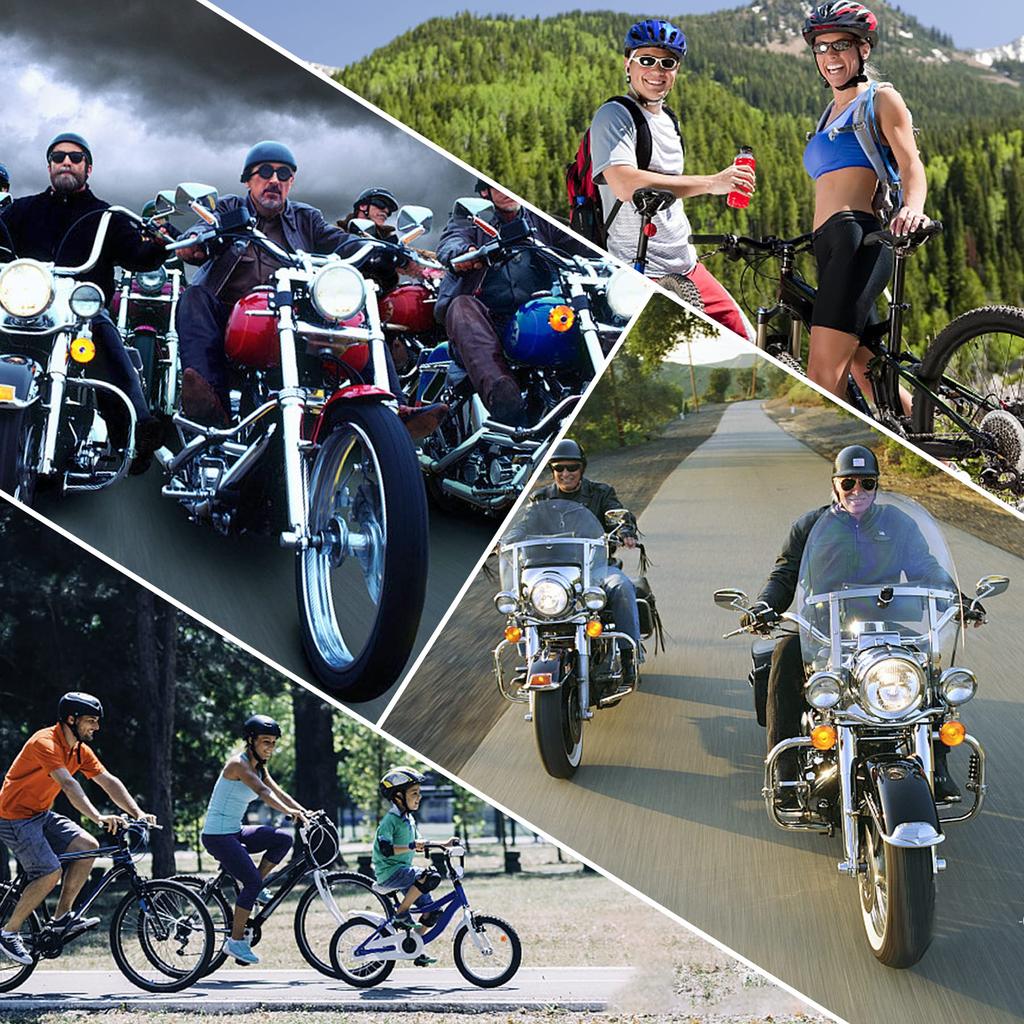 BOROLA Motorcycle Goggles Skull Motocross Sunglasses Cosplay (E Series Carbon Fiber)