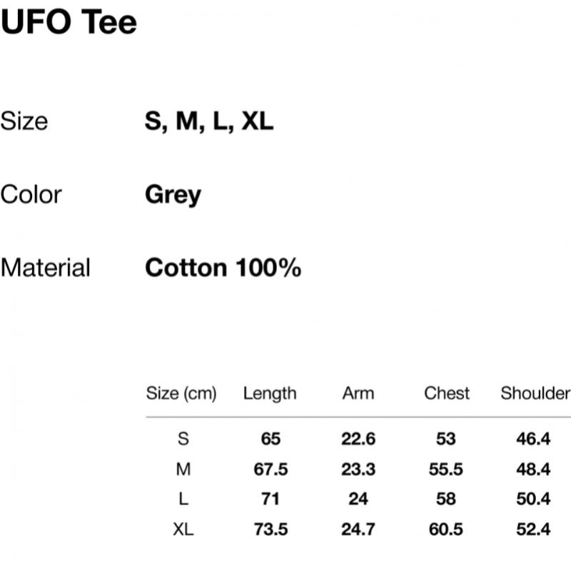 ThIs Is Never That Ufo Tee Grey
