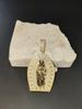 Fine Fashion Trendy 2025 Unisex 18K PVD Gold Plated Jesus Statue Goddess Stainless Steel Link Chain Pendant Necklace for Gift