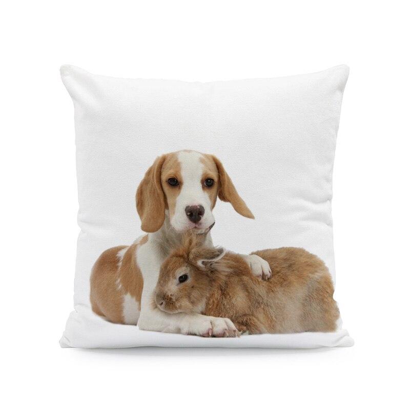 

Золотая подушка Ши-тцу, наволочка с кроликом и кошкой, наволочка для подушки-боксера, наволочка для французского бульдога, милая подушка для собаки, наволочка 40x40cm