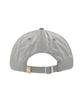 BBC EARTH Leather Logo Ball Cap Grey