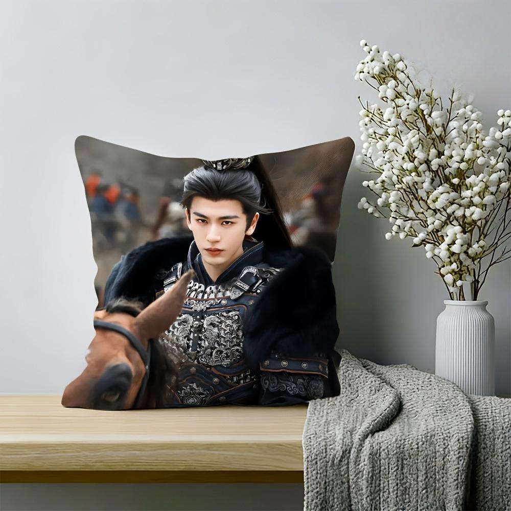 Celebrity Print Pillow Cover, Zippered & Machine Washable, Home Bedroom Cushion Cover