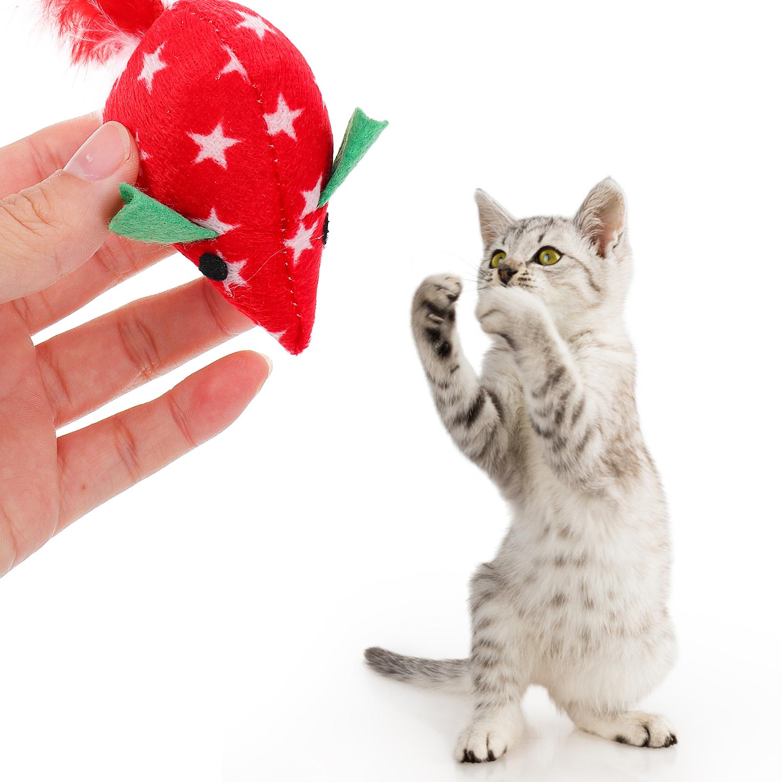 

4 шт. Игрушка-палочка для кошек Зеленый искусственный тизер Дразнилка Интерактивные игрушки Играющий котенок 15X5X5cm